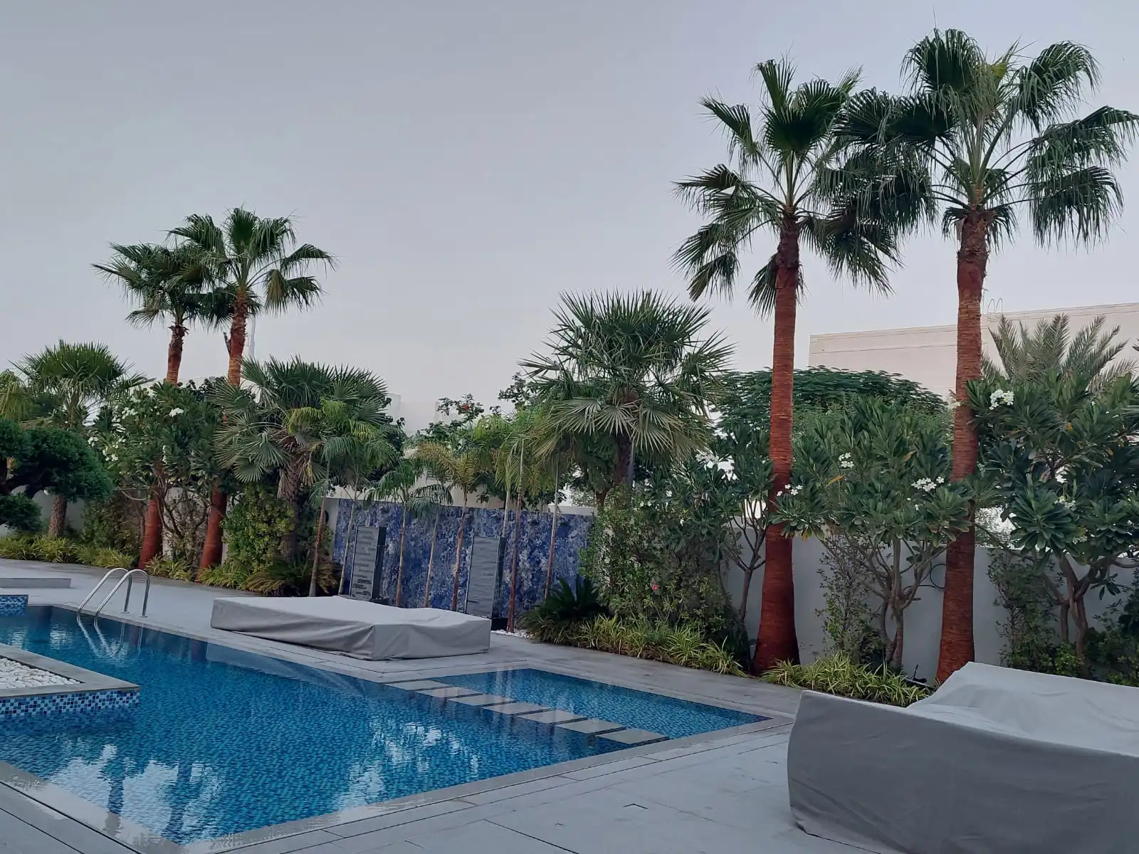 Al-Warda-Landscaping-Pool-Maintenance-Dubai