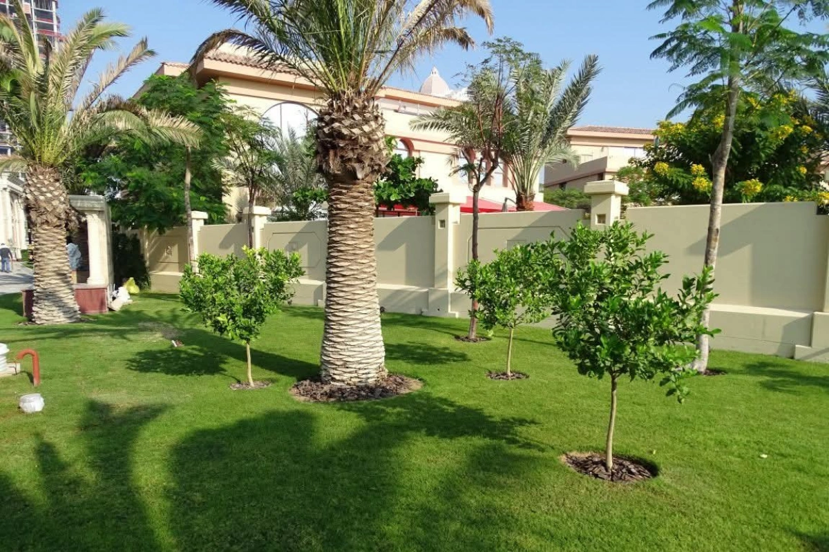 Garden_Maintenance_in_Dubai_alwardalandscaping