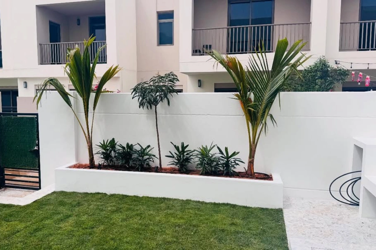 Plants-care-in-dubai-villa