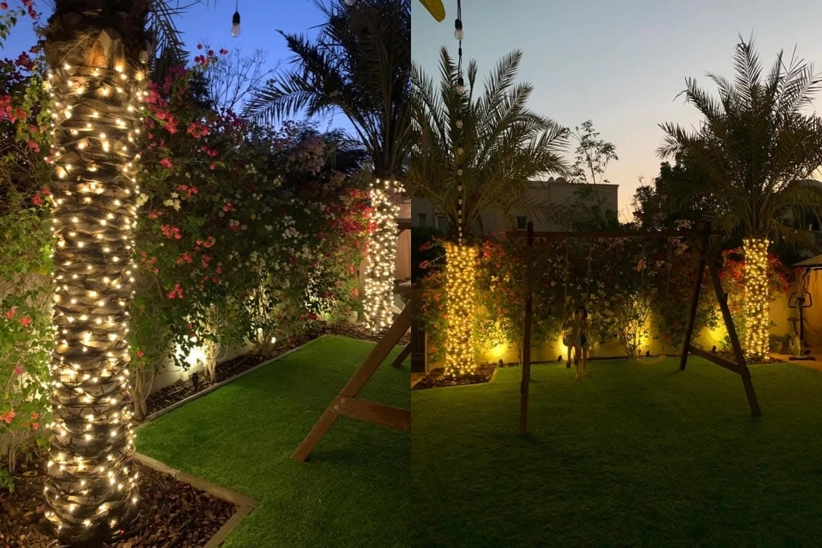 Plants_LED_Lights_install_alwardalandscaping