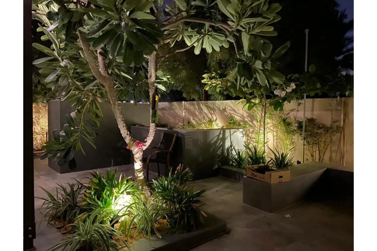 Plants_Lights_install_alwardalandscaping