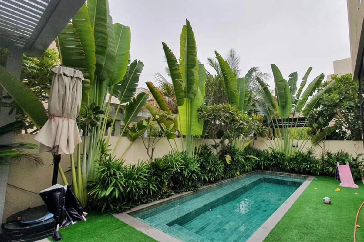 Swimming_Pool_Contractors_in_Dubai