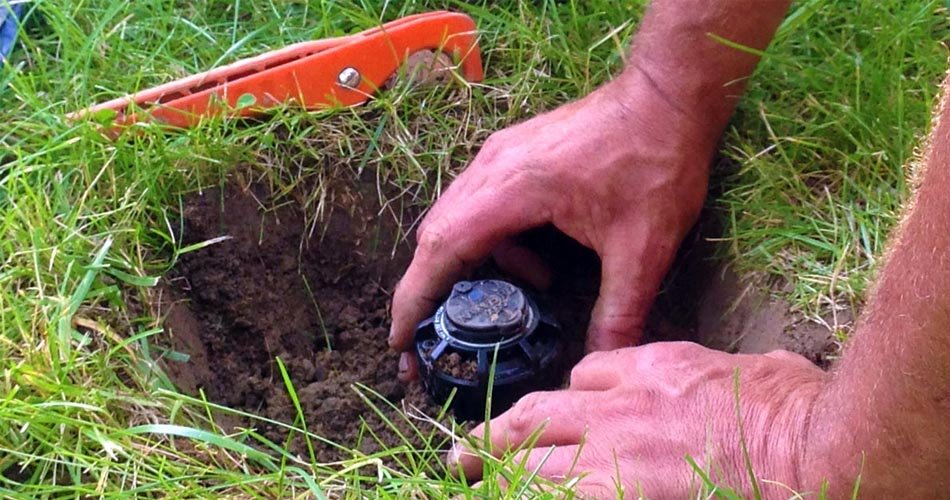 Hands installing a pop-up sprinkler head in a hole in the lawn