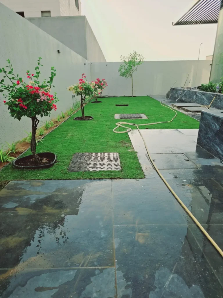Garden area plant grass tiles