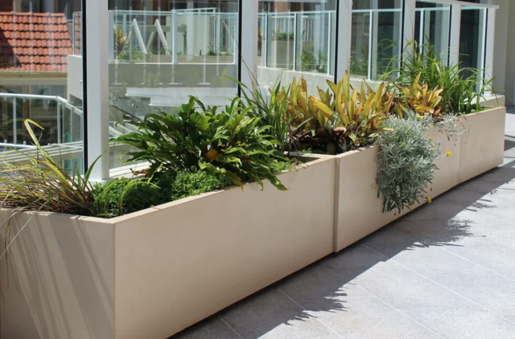 Raised bed planter box in a Dubai garden